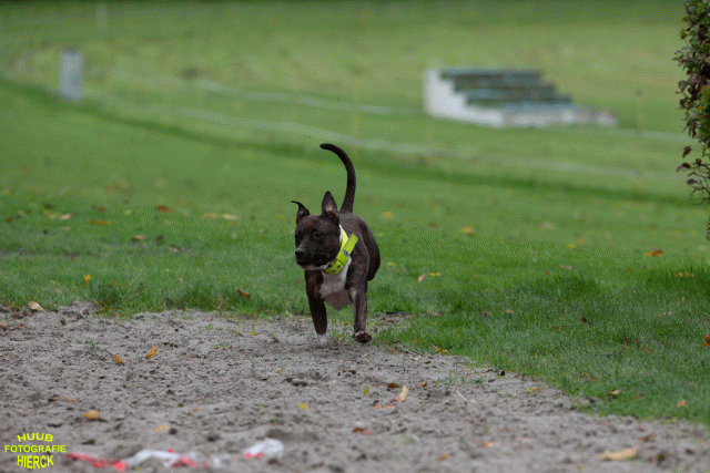 Ct3Q8755 24035241238 O