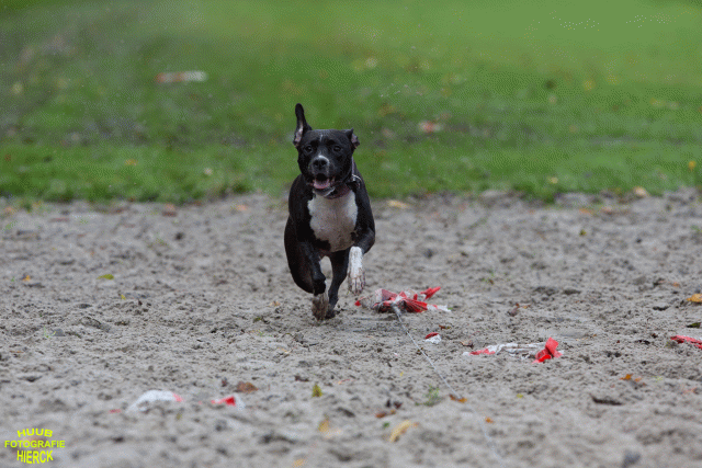 Ct3Q8748 24035241858 O