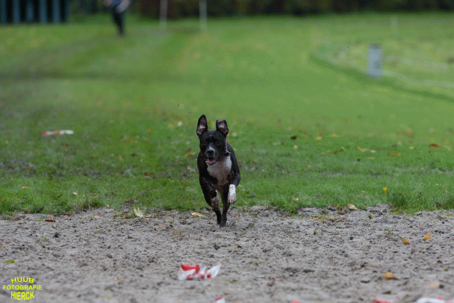 Ct3Q8742 24035243428 O