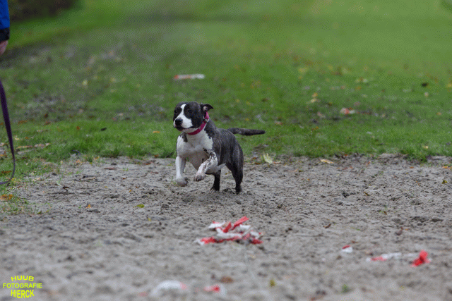 Ct3Q8734 24035243758 O