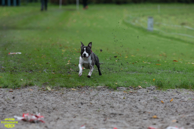 Ct3Q8728 24035244378 O