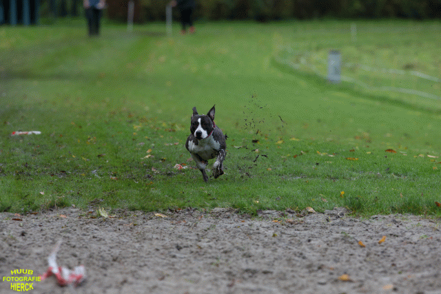 Ct3Q8727 24035244578 O