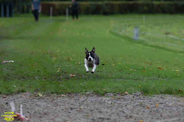 Ct3Q8725 24035244728 O