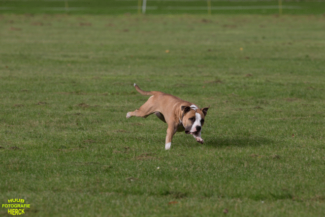 Ct3Q8916 24035355328 O