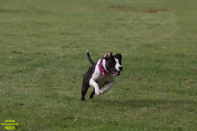 Ct3Q8910 24035355568 O