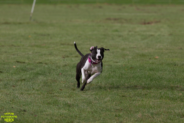 Ct3Q8907 24035355708 O