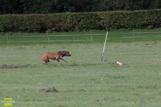 Ct3Q8866 24035357548 O