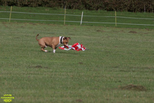 Ct3Q8862 24035357658 O