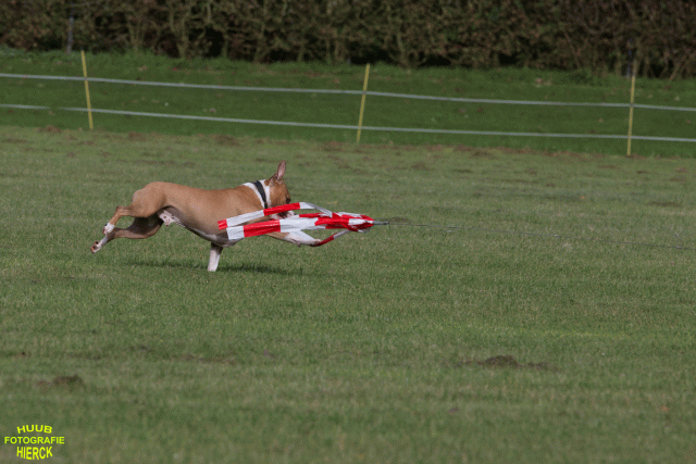 Ct3Q8859 24035357798 O