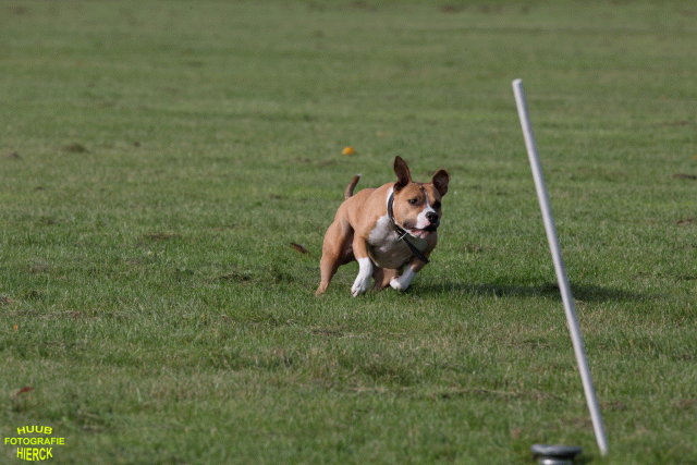 Ct3Q8853 24035358128 O