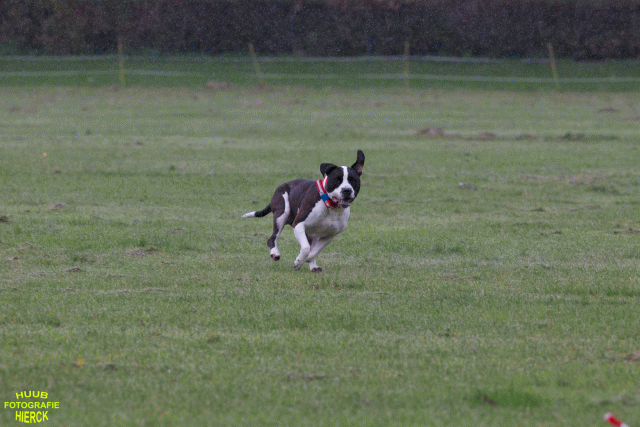 Ct3Q9048 24035384378 O