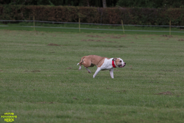 Ct3Q9021 24035385238 O