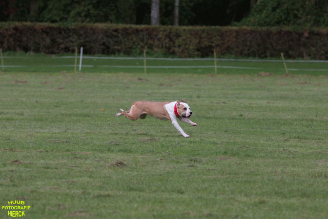 Ct3Q9015 24035385448 O