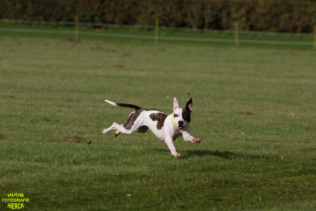 Ct3Q9010 24035385598 O