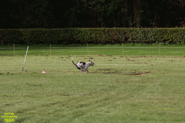 Ct3Q9007 24035385678 O