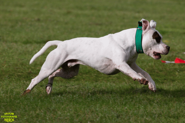 Ct3Q9004 24035385798 O