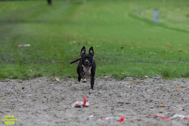 Ct3Q8743 37167256823 O