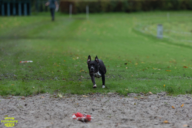 Ct3Q8740 37167256953 O