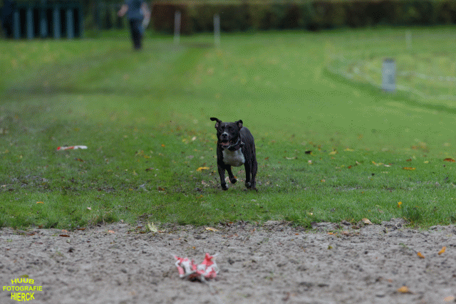 Ct3Q8738 37167257163 O