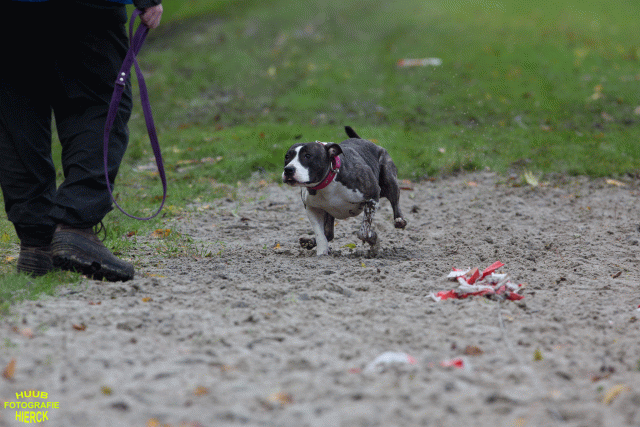 Ct3Q8736 37167257393 O