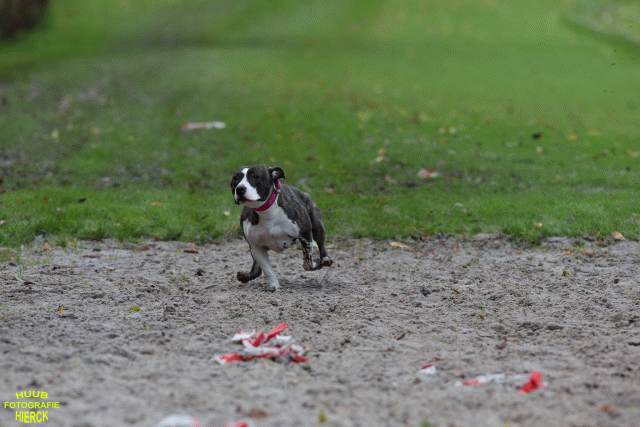 Ct3Q8733 37167257763 O