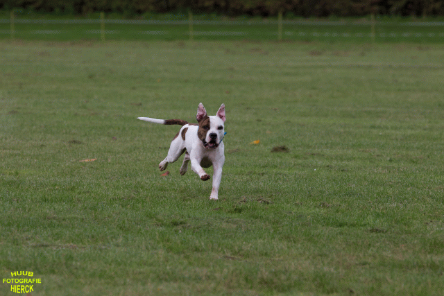 Ct3Q8990 37167343443 O