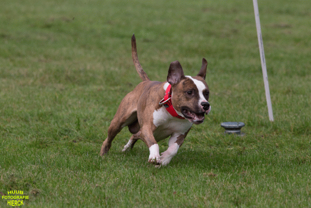 Ct3Q8987 37167343663 O