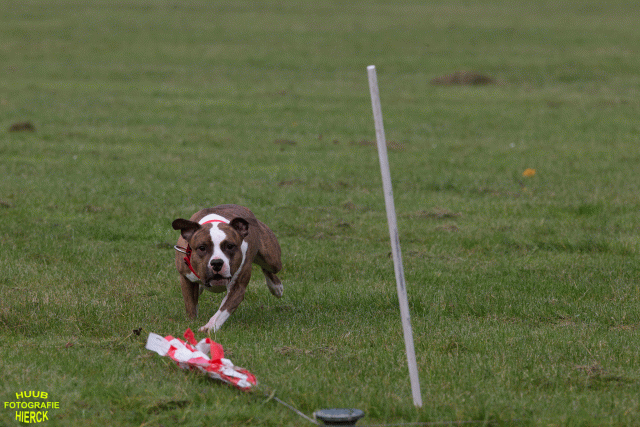 Ct3Q8984 37167343803 O