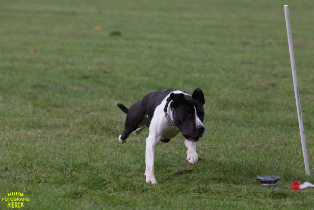 Ct3Q8981 37167343983 O