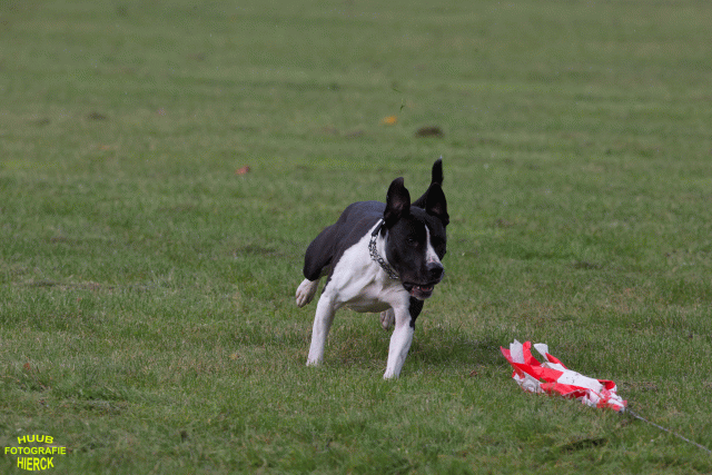 Ct3Q8979 37167344113 O