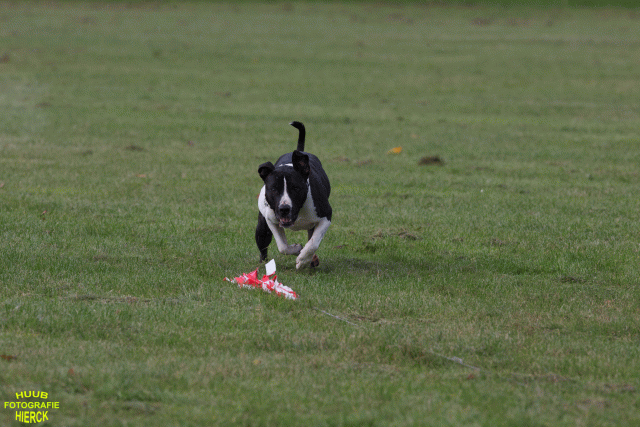 Ct3Q8977 37167344213 O