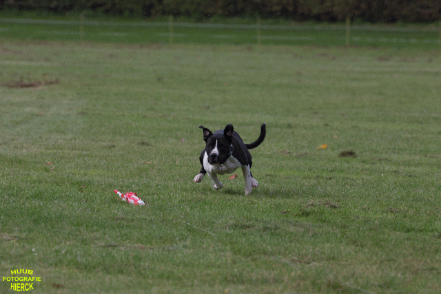 Ct3Q8975 37167344353 O