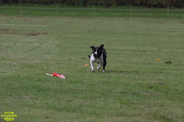 Ct3Q8973 37167344513 O