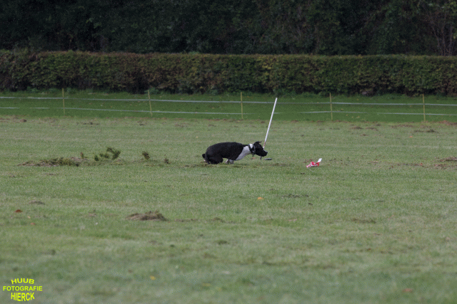 Ct3Q8971 37167344633 O