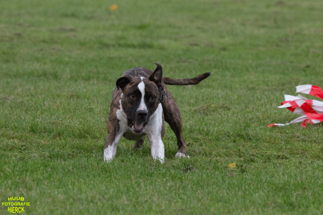 Ct3Q8969 37167344753 O