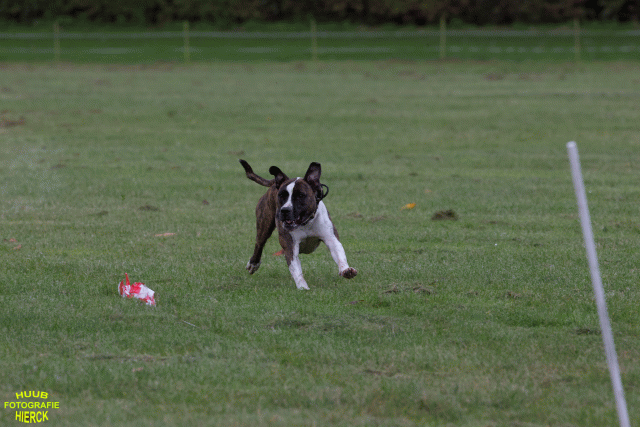 Ct3Q8964 37167344933 O