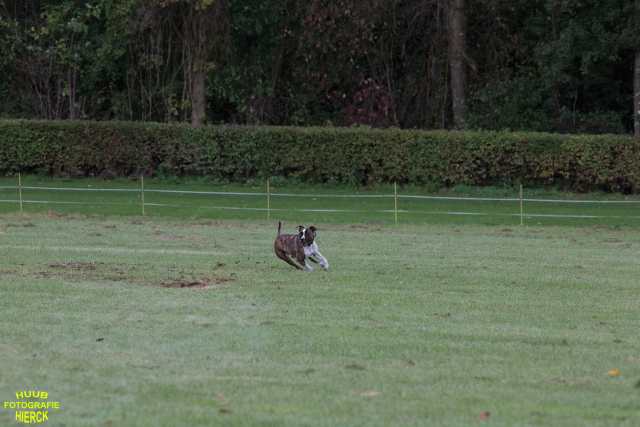 Ct3Q8962 37167345033 O