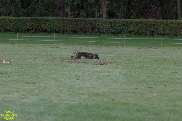 Ct3Q8959 37167345143 O