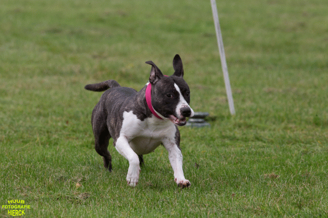 Ct3Q8939 37167346943 O