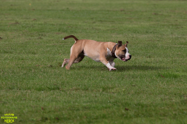 Ct3Q8918 37167348073 O