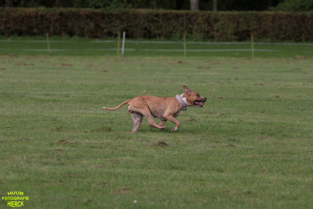 Ct3Q8901 37167349733 O