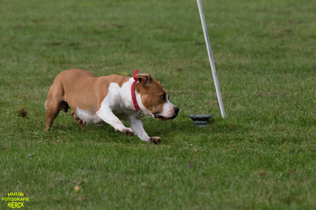 Ct3Q8897 37167350103 O