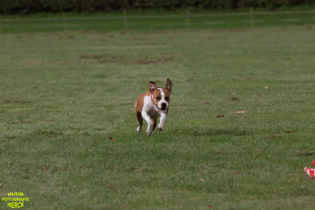 Ct3Q8894 37167350333 O