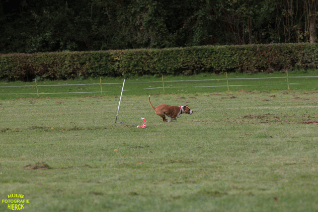 Ct3Q8891 37167350483 O