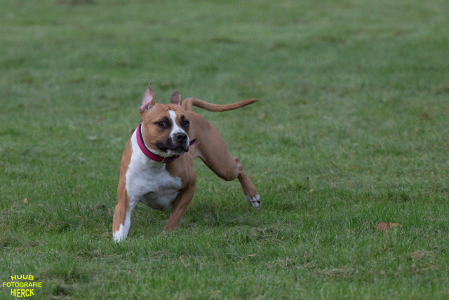 Ct3Q8889 37167350803 O