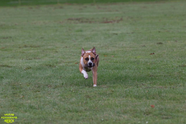 Ct3Q8887 37167351013 O