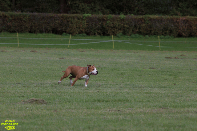 Ct3Q8883 37167351233 O