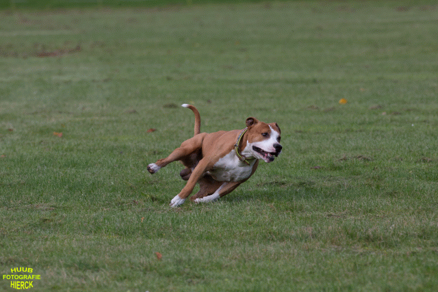 Ct3Q8880 37167351513 O