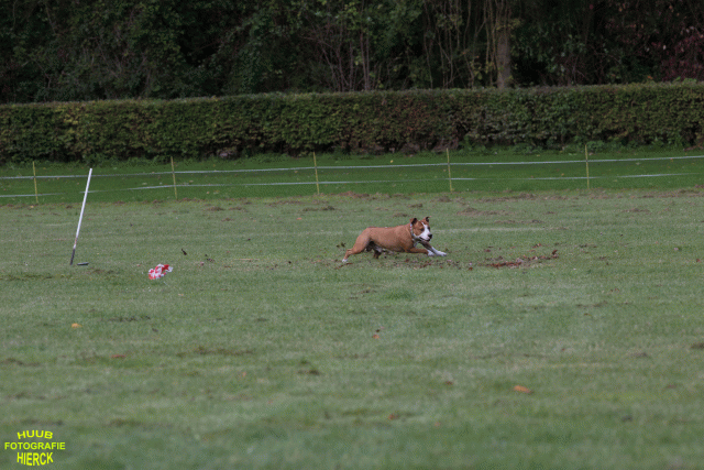 Ct3Q8876 37167351853 O