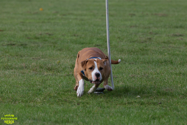 Ct3Q8872 37167352093 O